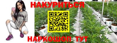 ГАЛЛЮЦИНОГЕННЫЕ ГРИБЫ Пугачёв