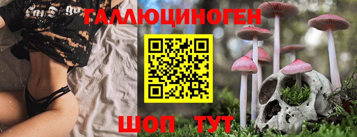 Галлюциногенные грибы Psilocybe  Вход с VPN  Галлюциногенные грибы GOLDEN TEACHER  Россия 