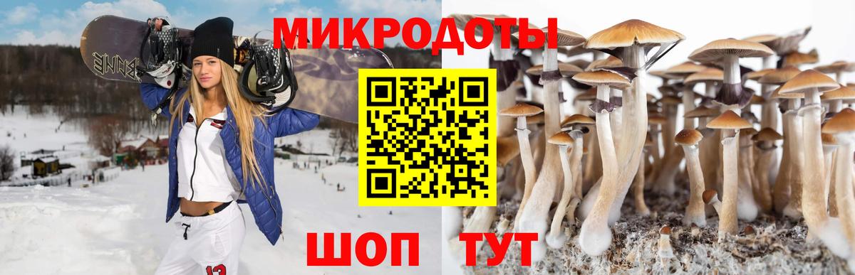 Галлюциногенные грибы Magic Shrooms Россия